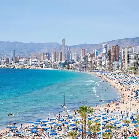Don Paco 12 Benidorm