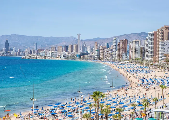 Don Paco 12 Benidorm