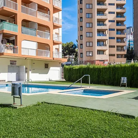 Don Paco 12-b Deluxe Levante *